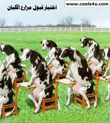 talamide mogtahidin.........